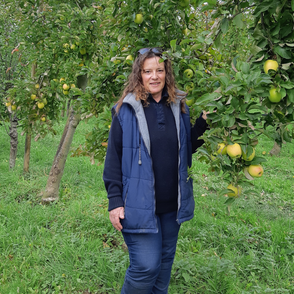 #Pommes : Sandrine Legrand - La Ferme de la Maison Neuve #Pommes : Sandrine Legrand - La Ferme de la Maison Neuve