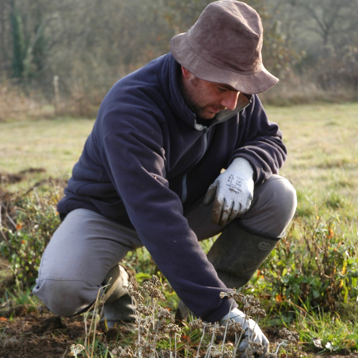 #Produits naturels à base de plantes : Mickaël Mary - Terres de simples