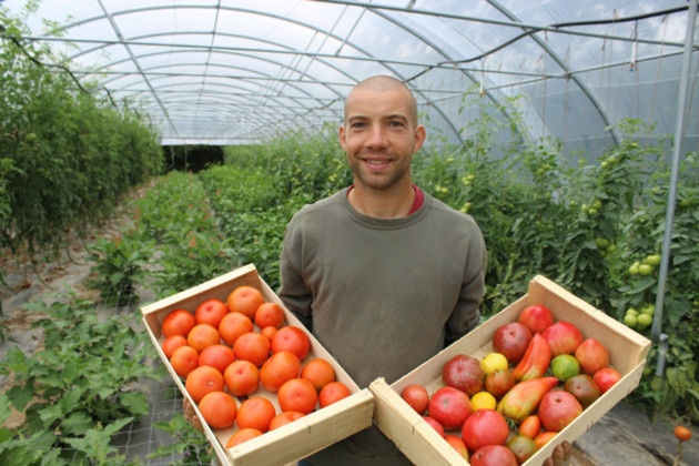 La ferme du panier vert - Antoine Desvages : Légumes