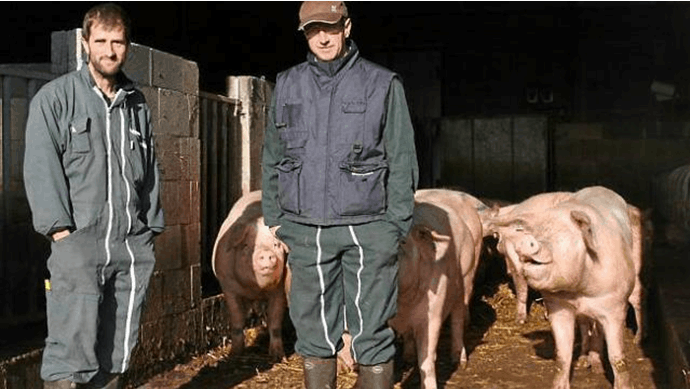 GAEC CV Gosselin : viande de porc