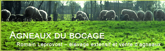 Agneaux du Bocage Agneaux du Bocage