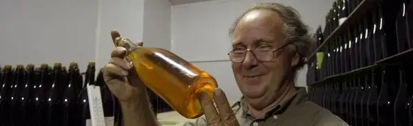 Les Vergers de Ducy