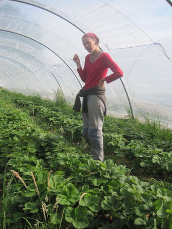 Fraise et Compagnie : Sirops et confitures