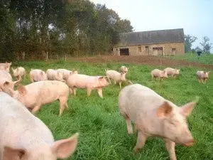 Ferme des Crettes